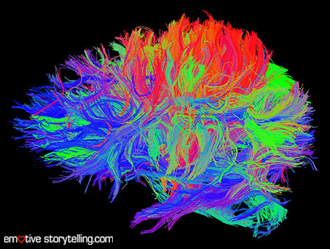 2012-03-21brainfibersimage.crop