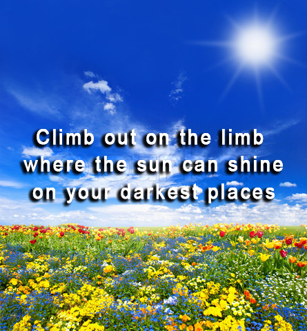 Climb out on a limb